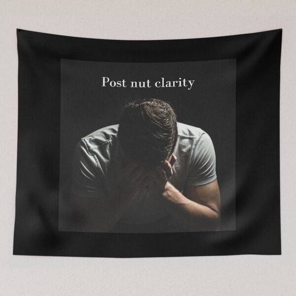 Item preview, Post nut clarity designed and sold by Shiablue.