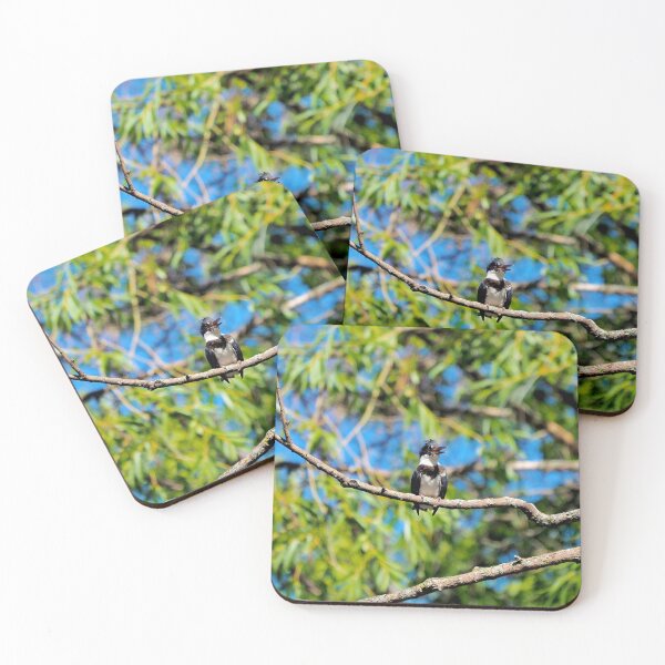 Item preview, Belted Kingfisher Perched On a Tree Branch designed and sold by BackyardBirder.