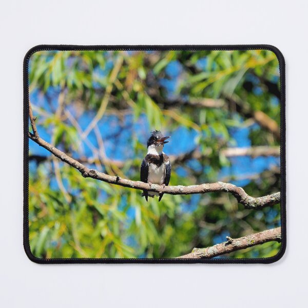 Item preview, Belted Kingfisher Perched On a Tree Branch designed and sold by BackyardBirder.