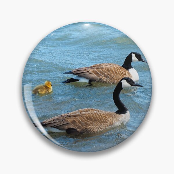 Item preview, Two Canada Geese Parents Swimming With Their Gosling - Wild Canada Goose Bird designed and sold by BackyardBirder.