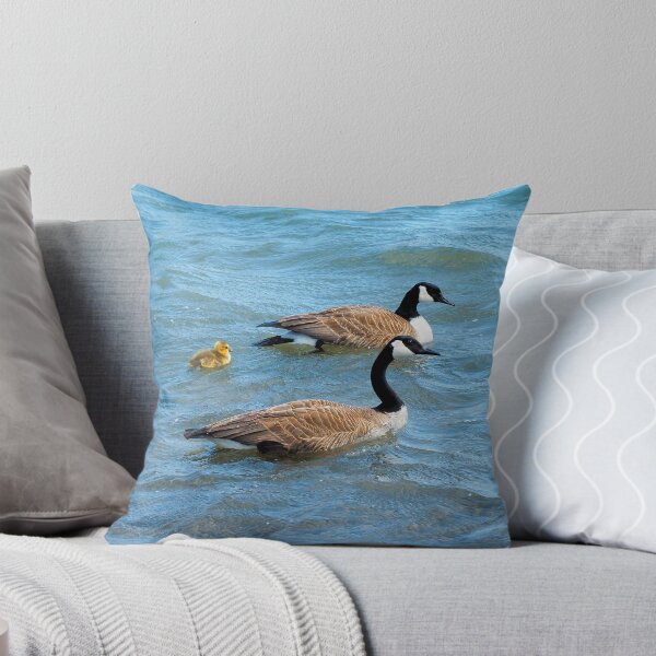 Item preview, Two Canada Geese Parents Swimming With Their Gosling - Wild Canada Goose Bird designed and sold by BackyardBirder.