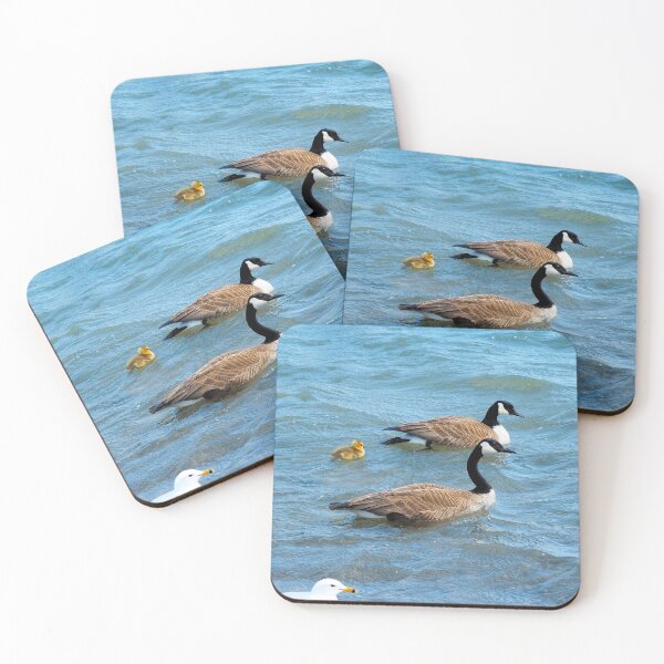 Item preview, Two Canada Geese Parents Swimming With Their Gosling - Wild Canada Goose Bird designed and sold by BackyardBirder.
