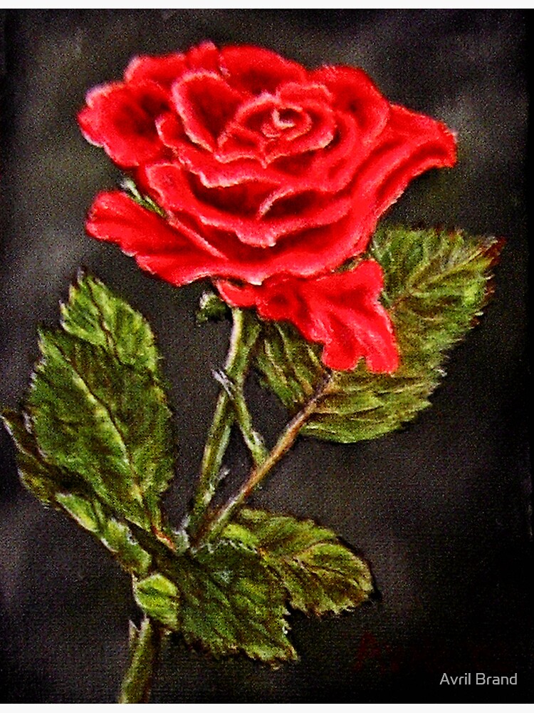 Red Rose Oil Painting Greeting Card By Avabnd Redbubble