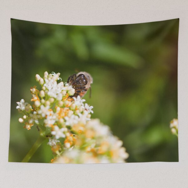 Item preview, Holiday Worker  designed and sold by Cosmic  Fox Photography.