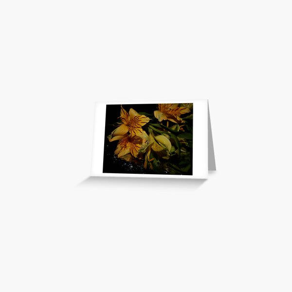 The Wild Dazzle Greeting Card
