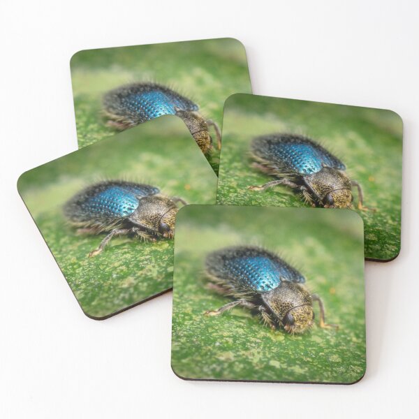 Item preview, A Long-Toed Water Beetle (Sostea sp) designed and sold by AvonPerception.