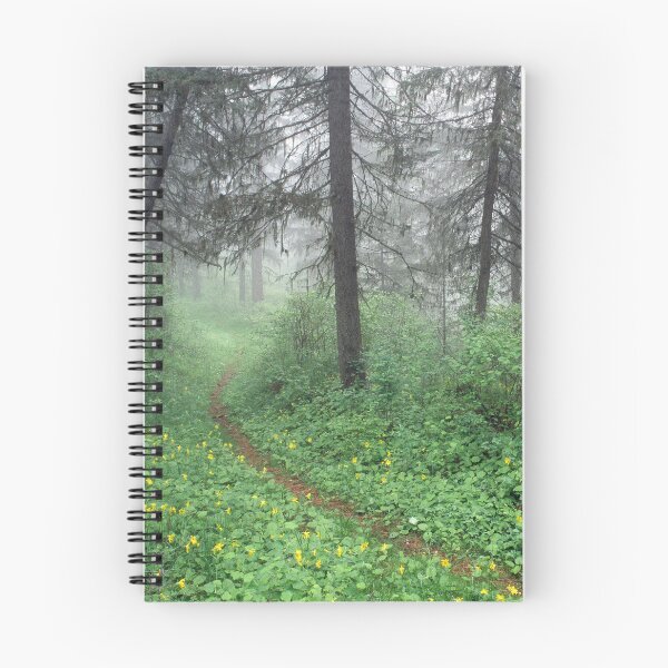 Item preview, A Path of Your Own designed and sold by Alison Meyer Photography.