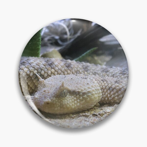 Item preview, DANGER SIDEWINDER designed and sold by BOLLA67.