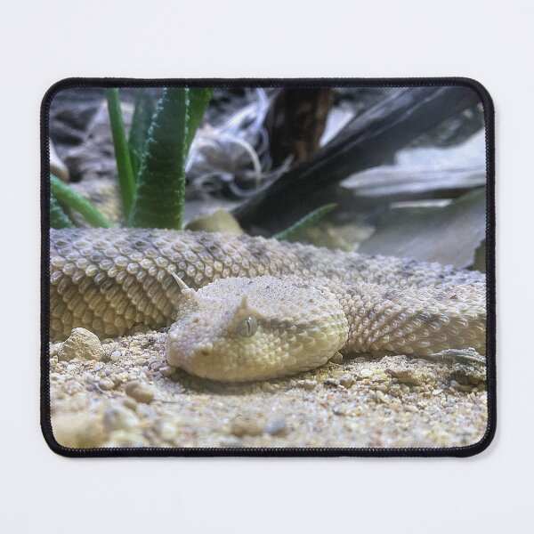 Item preview, DANGER SIDEWINDER designed and sold by BOLLA67.