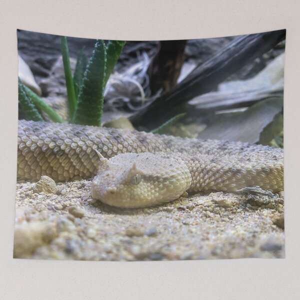 Item preview, DANGER SIDEWINDER designed and sold by BOLLA67.