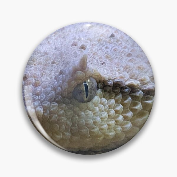 Item preview, SIDEWINDER EYE TO EYE  designed and sold by BOLLA67.