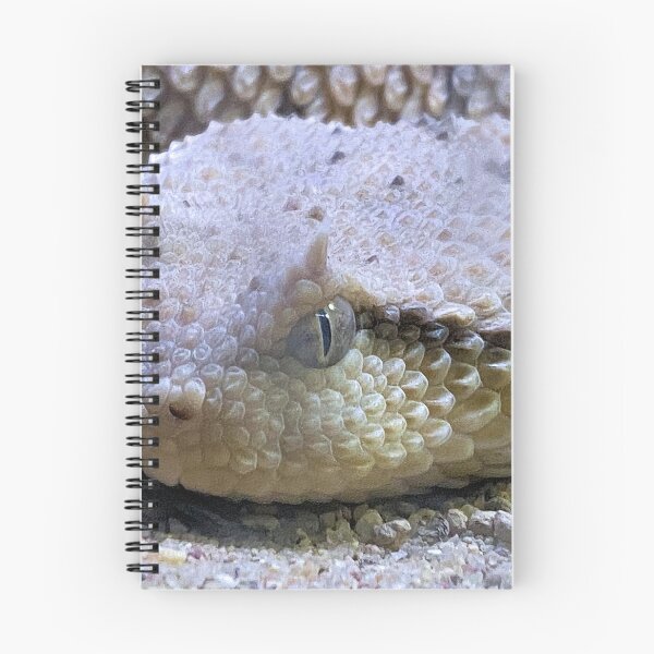 Item preview, SIDEWINDER EYE TO EYE  designed and sold by BOLLA67.