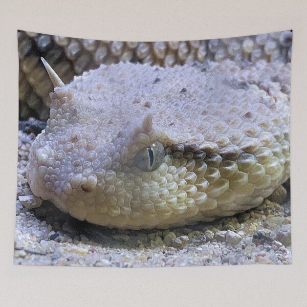 Item preview, SIDEWINDER EYE TO EYE  designed and sold by BOLLA67.
