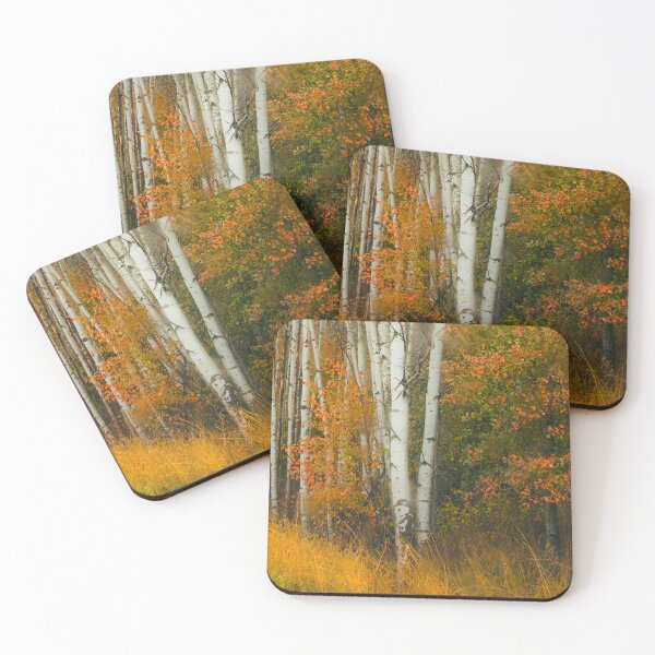 Item preview, Autumn Aspens, North Idaho designed and sold by Alison Meyer Photography.