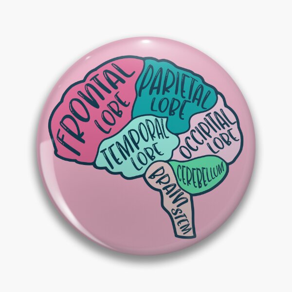 Item preview, Anatomical brain - purple and orange colors designed and sold by Preslava Genova.
