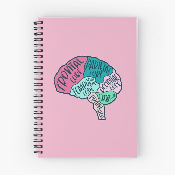 Item preview, Anatomical brain - purple and orange colors designed and sold by Preslava Genova.