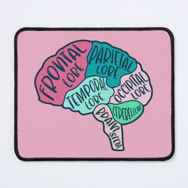 Item preview, Anatomical brain - purple and orange colors designed and sold by Preslava Genova.
