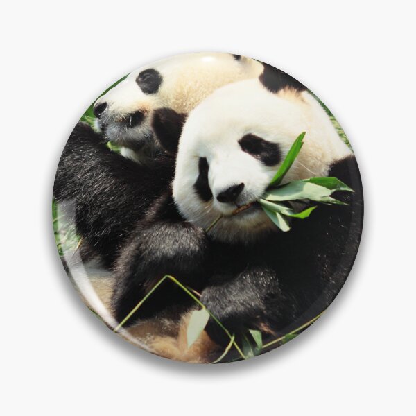 Item preview, Happy Panda | Happy Panda Day  designed and sold by Bright-Store.