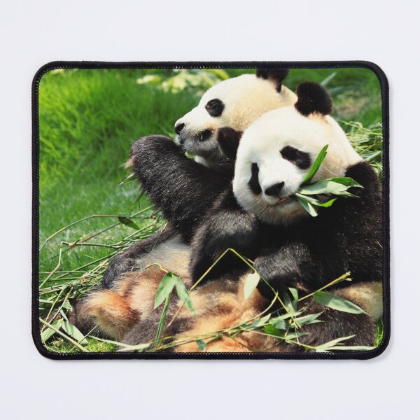 Item preview, Happy Panda | Happy Panda Day designed and sold by Bright-Store.