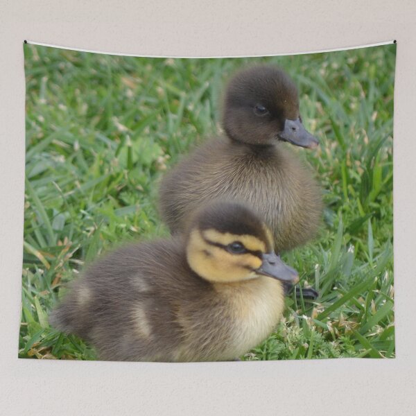 Item preview, Brother and Sister designed and sold by lizdomett.