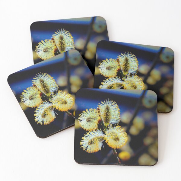 Item preview, Pussy Willow in Bloom - Willow catkin in bloom designed and sold by Ruhrpottpicture.