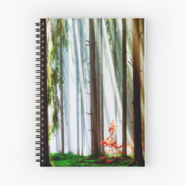 Item preview, Mystical cloud forest designed and sold by Jürgen Wiesler.