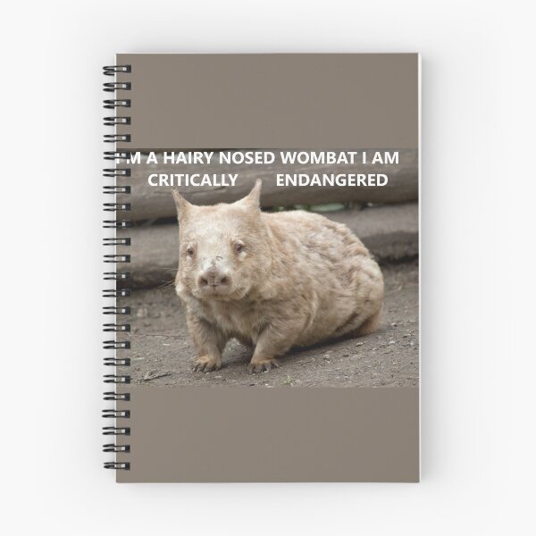 Item preview, Critically endangered Hairy Nosed Wombat designed and sold by ThundRDownunder.