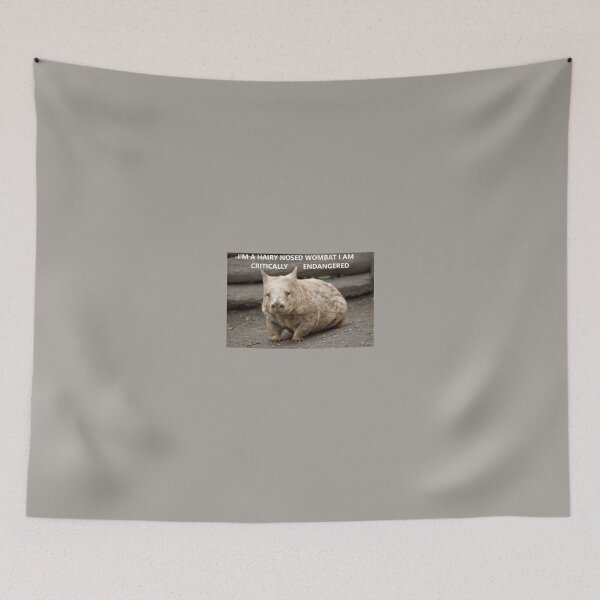Item preview, Critically endangered Hairy Nosed Wombat designed and sold by ThundRDownunder.