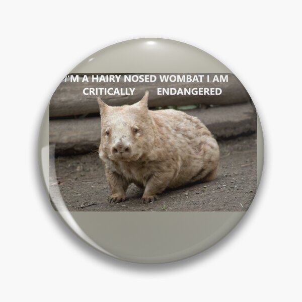 Item preview, Critically endangered Hairy Nosed Wombat designed and sold by ThundRDownunder.