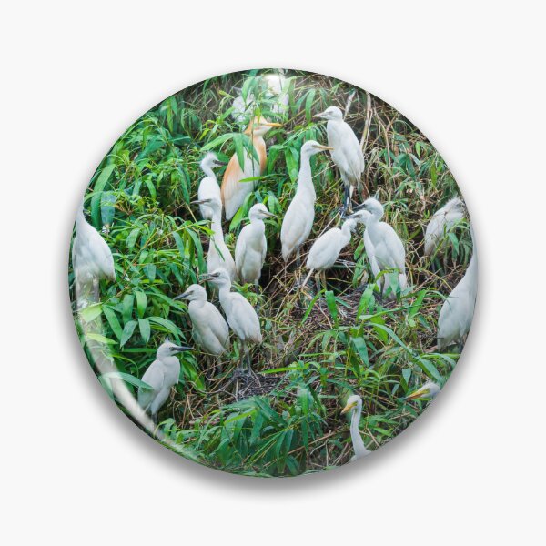 Item preview, A flock of egret birds on the green forest. designed and sold by kstanvir.
