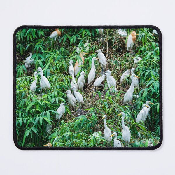 Item preview, A flock of egret birds on the green forest. designed and sold by kstanvir.