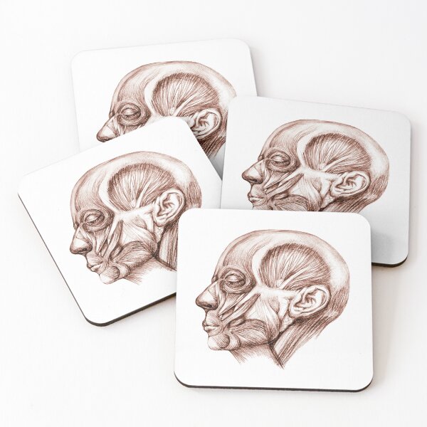 Item preview, Copy of Ecorche no skin face designed and sold by Slieptsovaart.