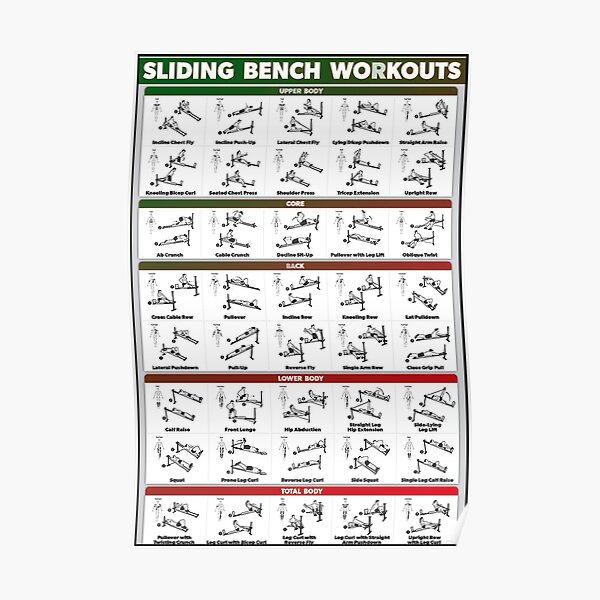 sliding bench workouts knowledge poster Poster