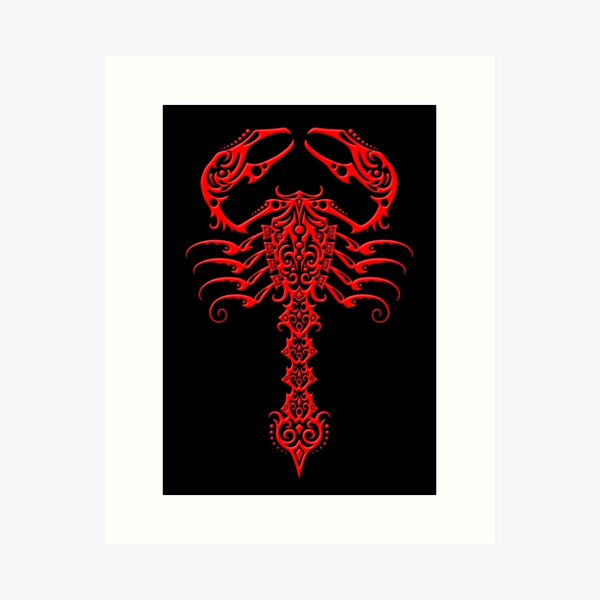 Scorpio Tattoo Maori Tribal Style Horoscope Astrological Zodiac