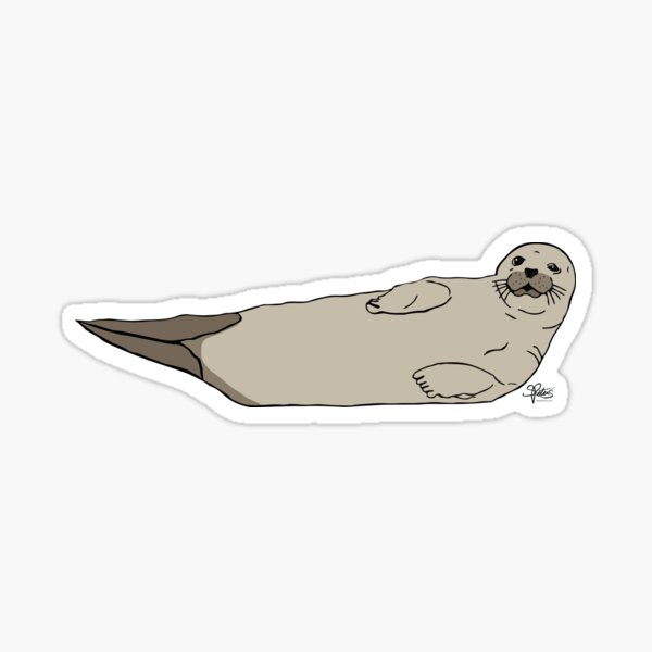 Smiling Harbor Seal illustration Sticker