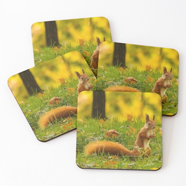 Item preview, Red squirrel (Sciurus vulgaris) designed and sold by Piotr Front.
