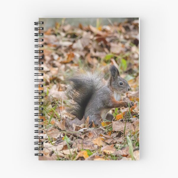 Item preview, Black squirrel designed and sold by Piotr Front.