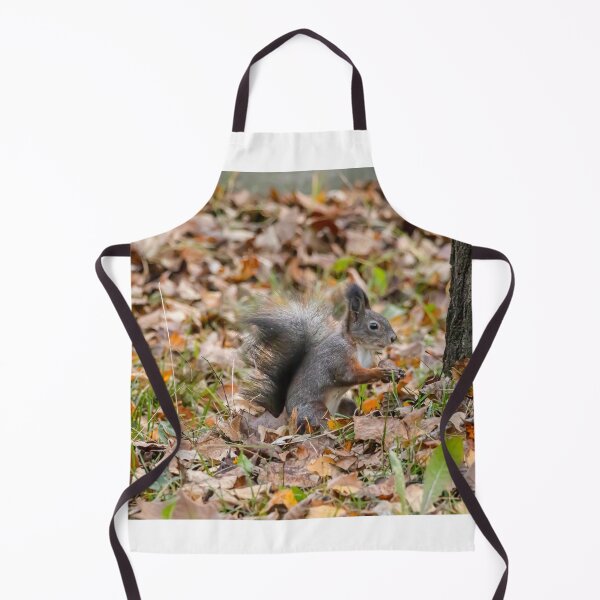 Item preview, Black squirrel designed and sold by Piotr Front.