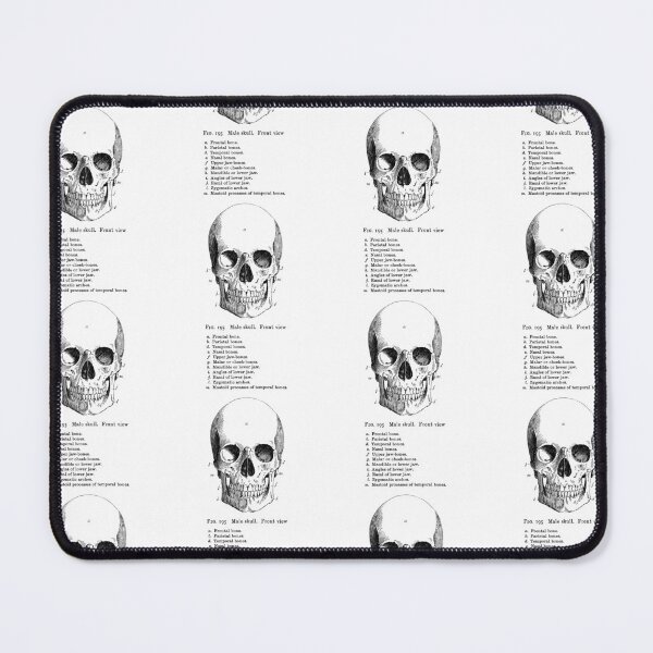 Item preview, The Anatomy of the Skull in black designed and sold by winterwinter.