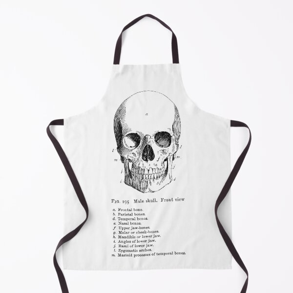 Item preview, The Anatomy of the Skull in black designed and sold by winterwinter.