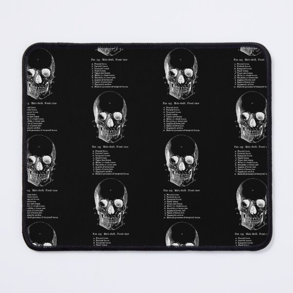 Item preview, The Anatomy of the Skull in white designed and sold by winterwinter.