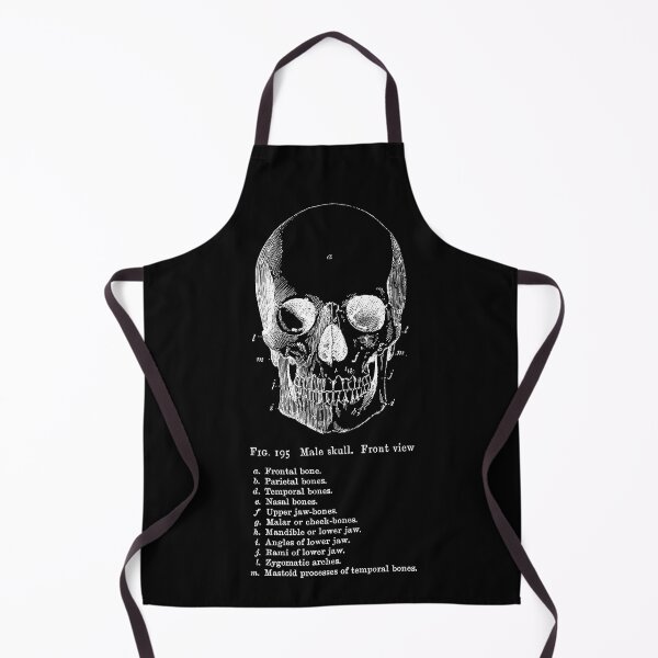 Item preview, The Anatomy of the Skull in white designed and sold by winterwinter.