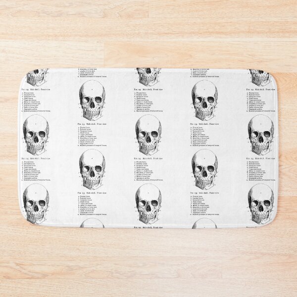Item preview, The Anatomy of the Skull in black designed and sold by winterwinter.