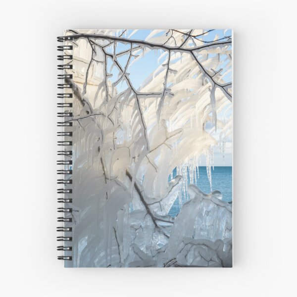 Item preview, Intricate Ice Curtains Framing the Lakeview designed and sold by Georgia Mizuleva.