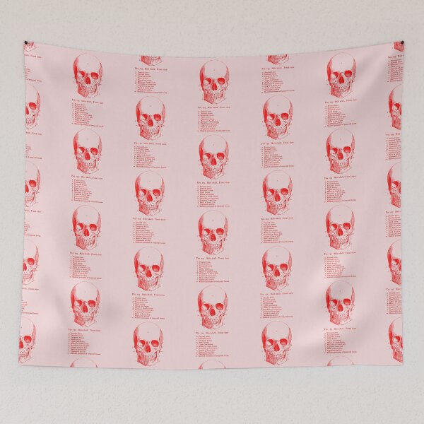 Item preview, The Anatomy of the Skull in red designed and sold by winterwinter.