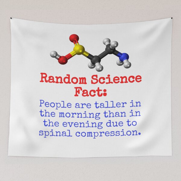 Item preview, People Are Taller In The Morning - Science Fact designed and sold by CrankyOldDude.