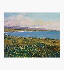 California Poppies Fotodruck