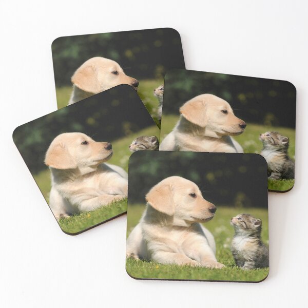 Item preview, Friendship between dog and cat designed and sold by Schubbels-Tiere.