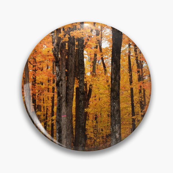 Item preview, A maple grove in the fall designed and sold by Claude Laprise.