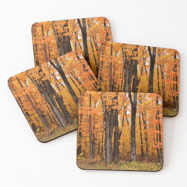 Item preview, A maple grove in the fall designed and sold by Claude Laprise.